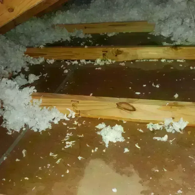 Attic Water Damage in Firing Range, GA